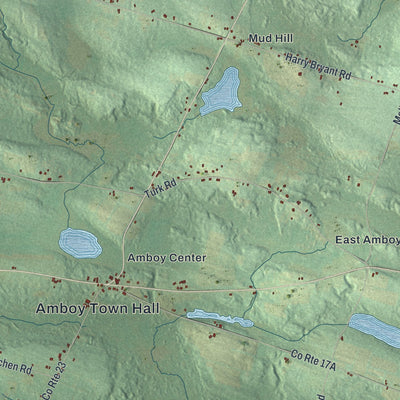 Close-up 2 of the Amboy, New York map artwork