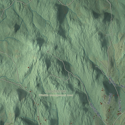 Close-up 1 of the Ancram, New York map artwork