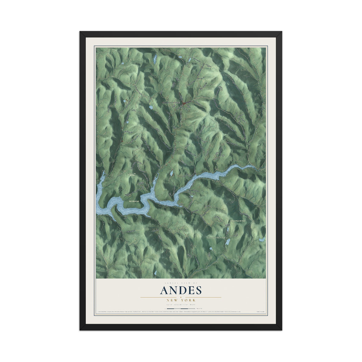 Andes, New York map print, 12" x 18" W/ Black Ayous Wood Frame mockup