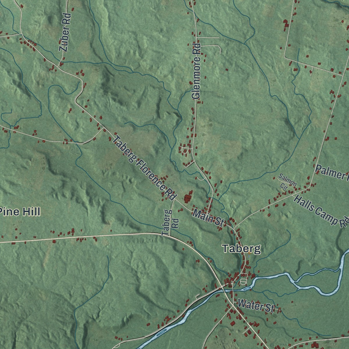 Close-up 2 of the Annsville, New York map artwork