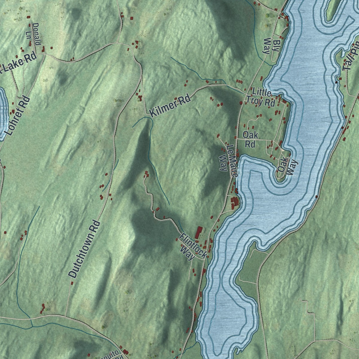 Close-up 1 of the Argyle, New York map artwork