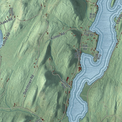 Close-up 1 of the Argyle, New York map artwork