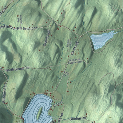 Close-up 2 of the Argyle, New York map artwork