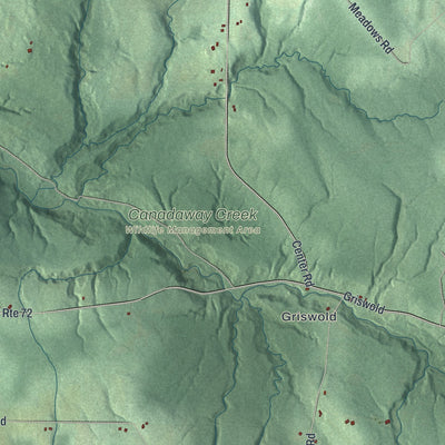 Close-up 1 of the Arkwright, New York map artwork