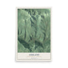 Map of Ashland, Greene County, New York, 12 x 18 inch unframed archival matte print