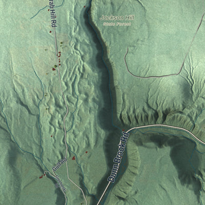 Close-up 2 of the Ava, New York map artwork