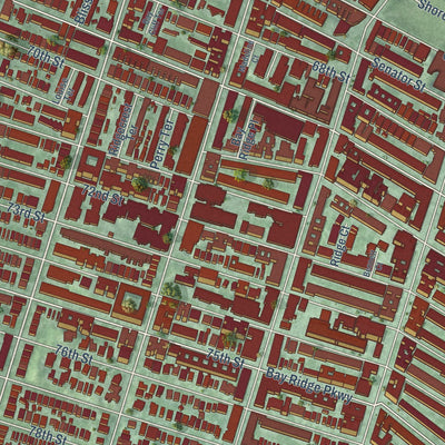 Close-up of the map of Bay Ridge, New York print showing street and building detail