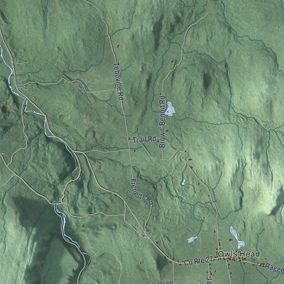 Close-up 1 of the Bellmont, New York map artwork