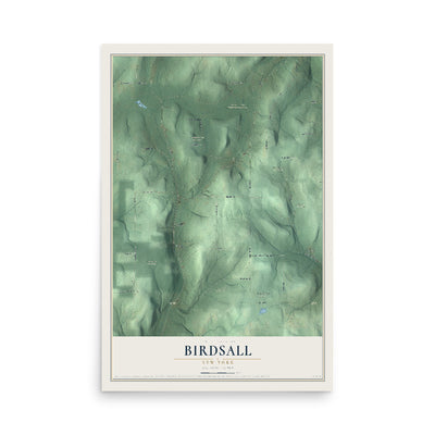 Birdsall, New York map print, 12" x 18" Archival Matte Print mockup