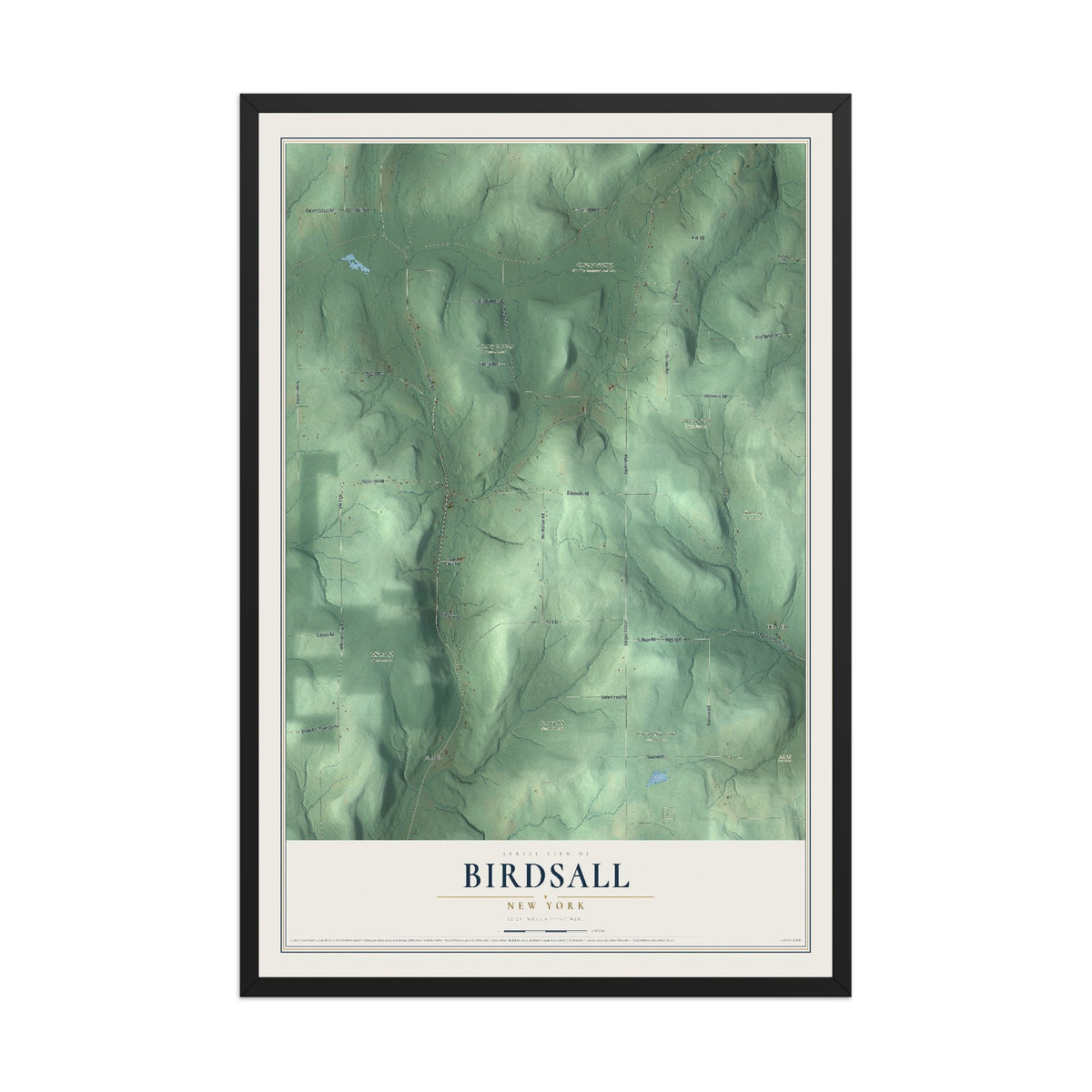 Birdsall, New York map print, 12" x 18" W/ Black Ayous Wood Frame mockup