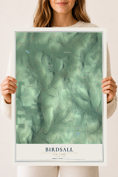 Birdsall, New York map print, 18" x 24" Archival Matte Print mockup