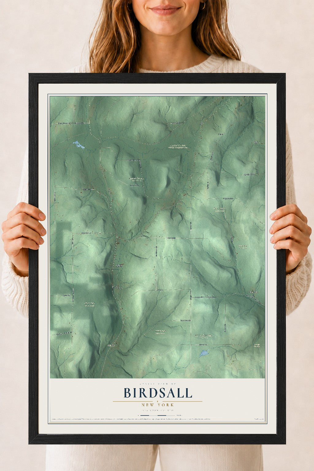 Birdsall, New York map print, 18" x 24" W/ Black Ayous Wood Frame mockup