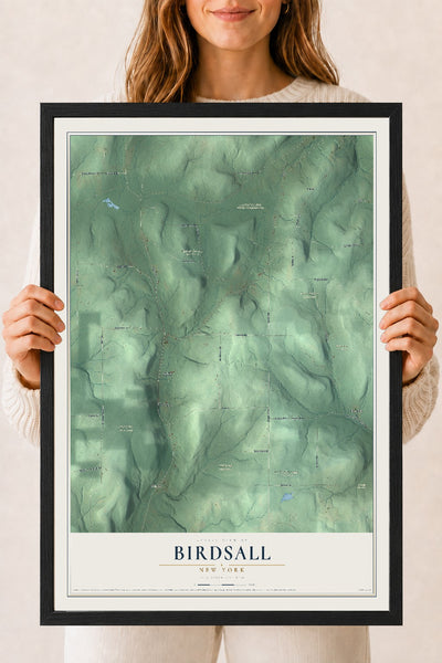 Birdsall, New York map print, 18" x 24" W/ Black Ayous Wood Frame mockup