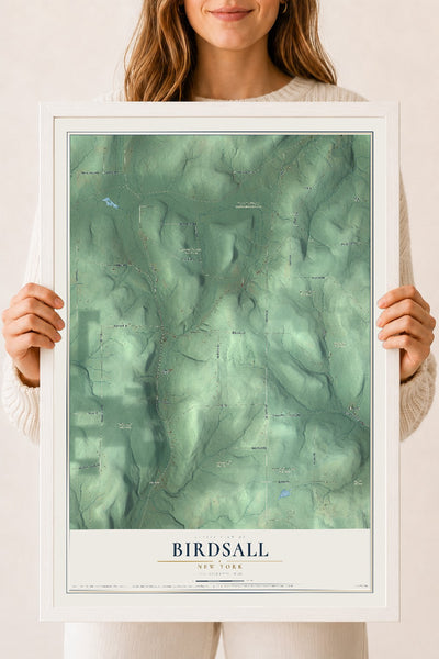 Birdsall, New York map print, 18" x 24" W/ White Ayous Wood Frame mockup