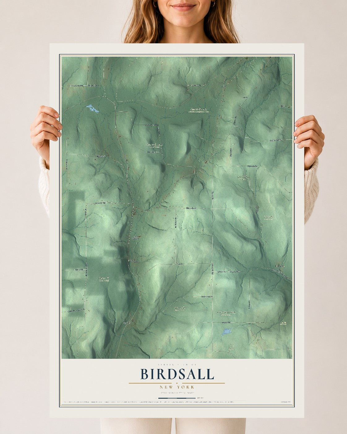 Birdsall, New York map print, 24" x 36" Archival Matte Print mockup