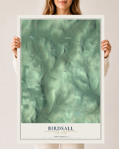 Birdsall, New York map print, 24" x 36" Archival Matte Print mockup