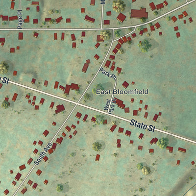 Close-up of the map of Bloomfield, New York print showing street and building detail