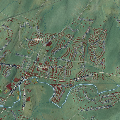 Close-up 1 of the Blooming Grove, New York map artwork