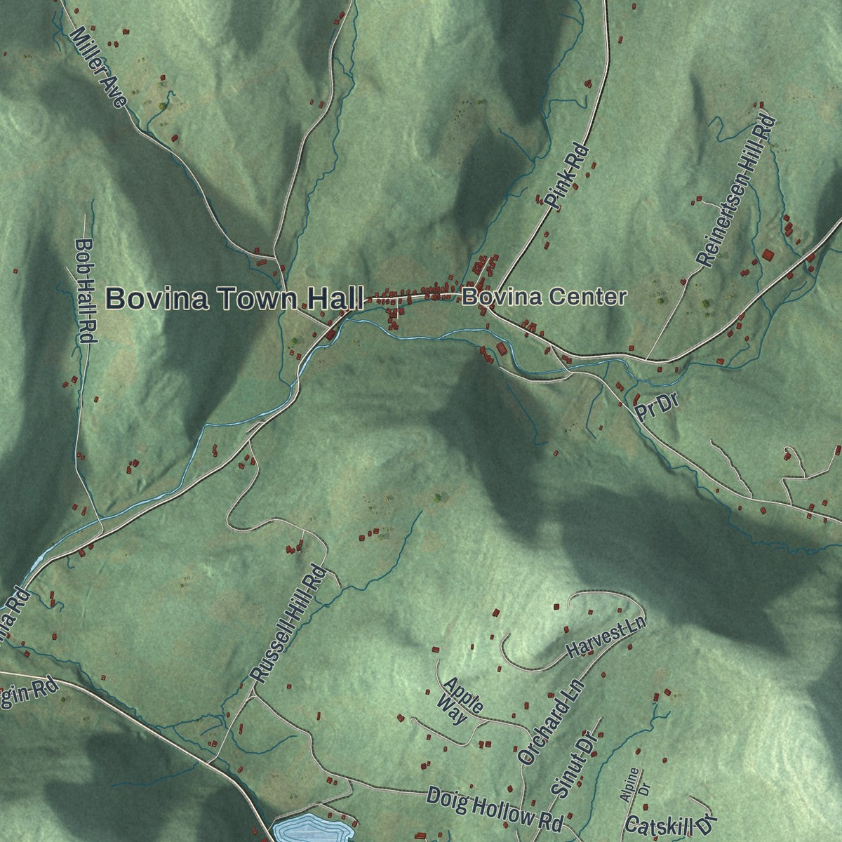 Close-up 1 of the Bovina, New York map artwork