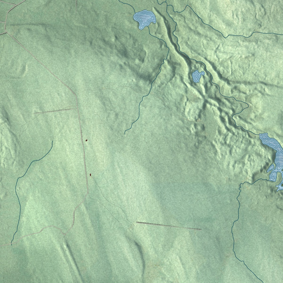 Close-up 1 of the Brandon, New York map artwork