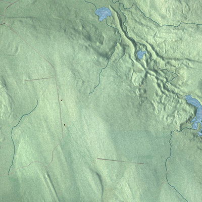 Close-up 1 of the Brandon, New York map artwork