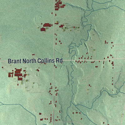 Close-up 2 of the Brant, New York map artwork
