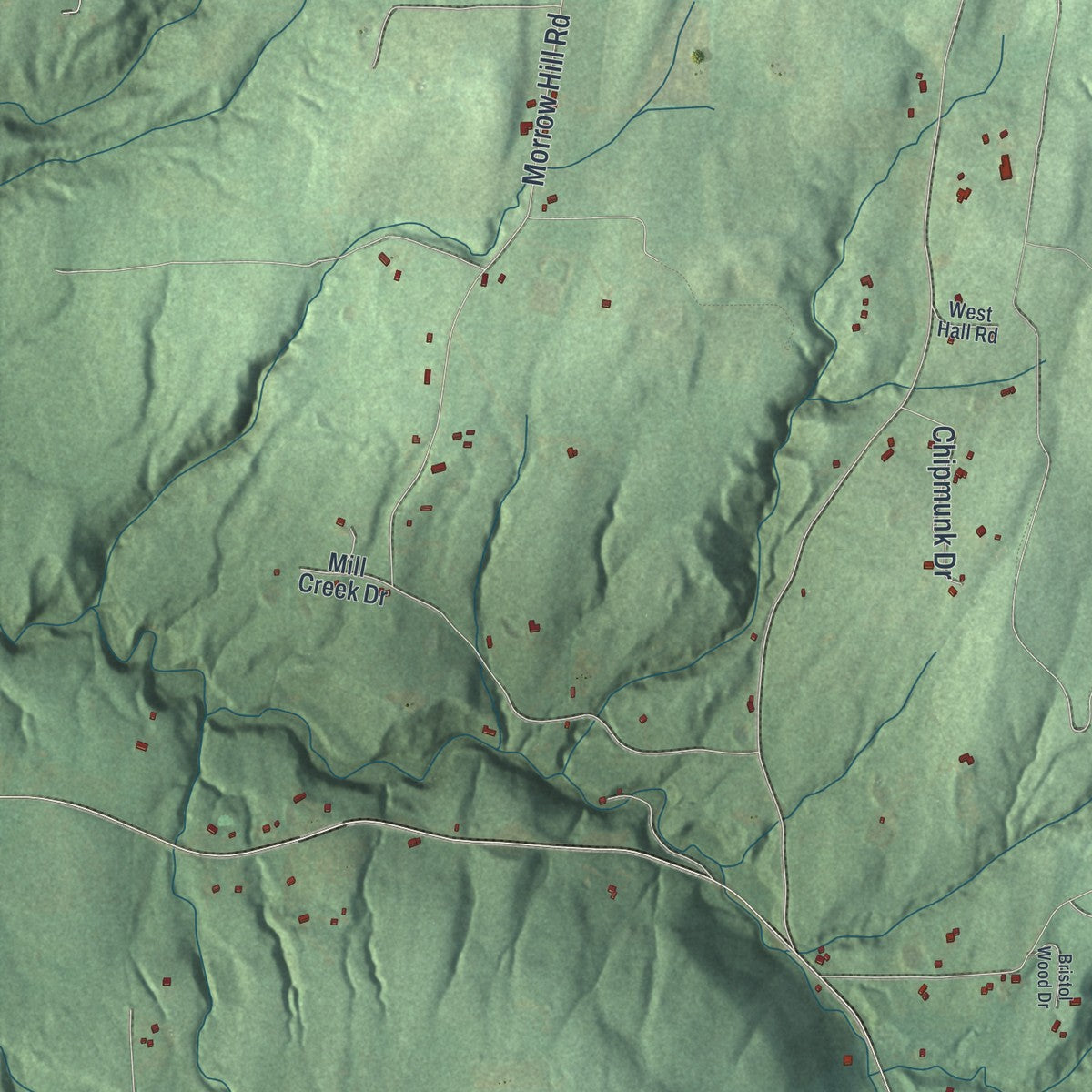 Close-up 1 of the Bristol, New York map artwork