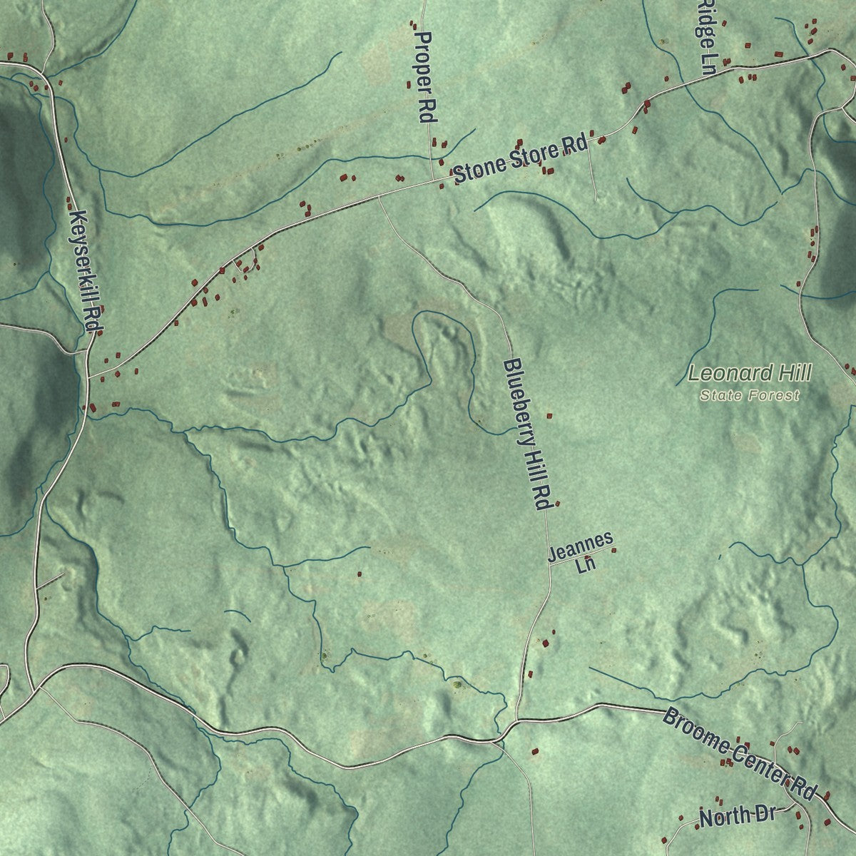 Close-up 1 of the Broome, New York map artwork