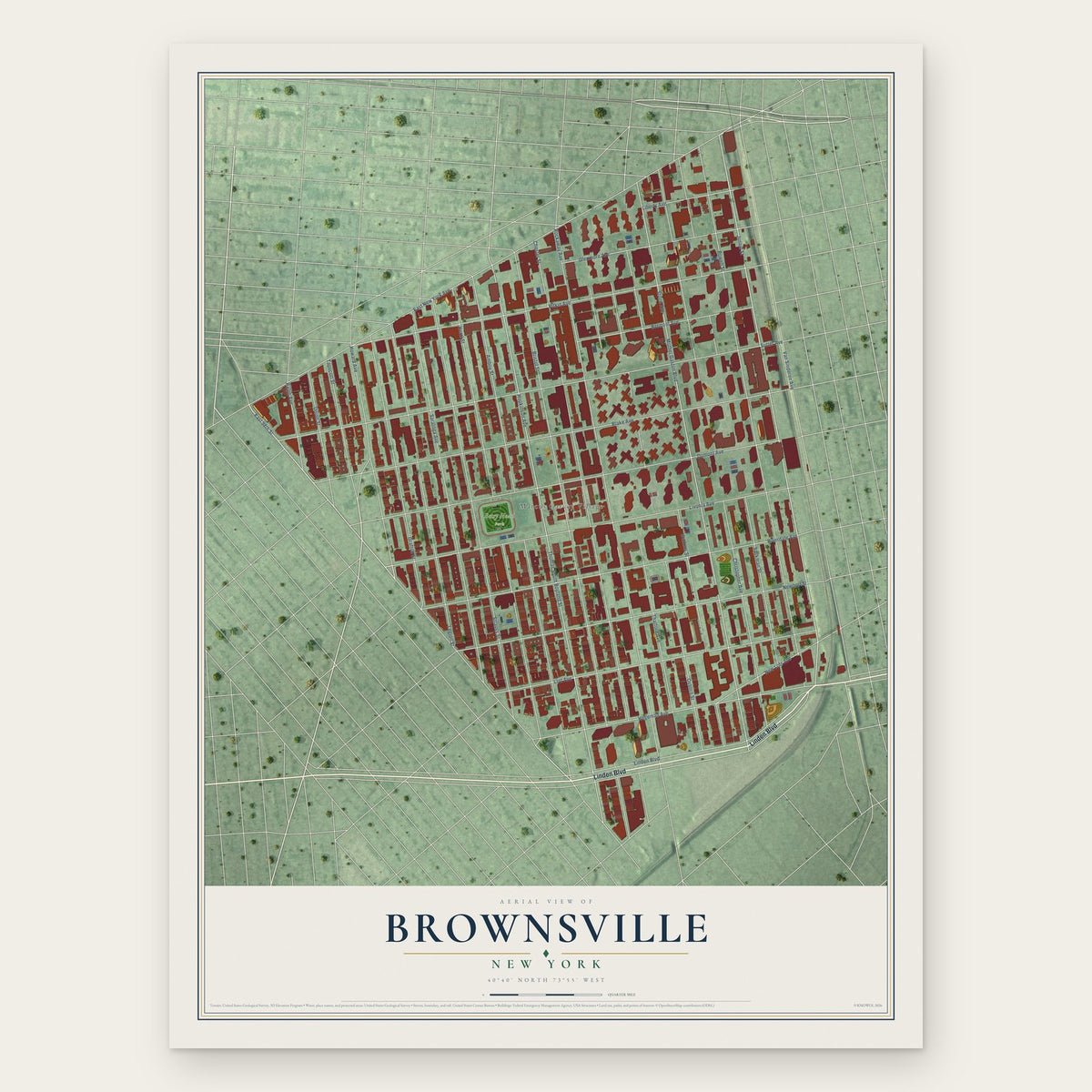 Brownsville, New York map print, the full design