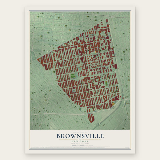 Brownsville, New York map print, the full design