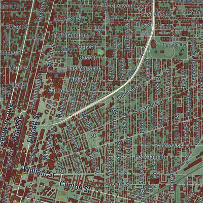 Close-up 1 of the Buffalo, New York map artwork