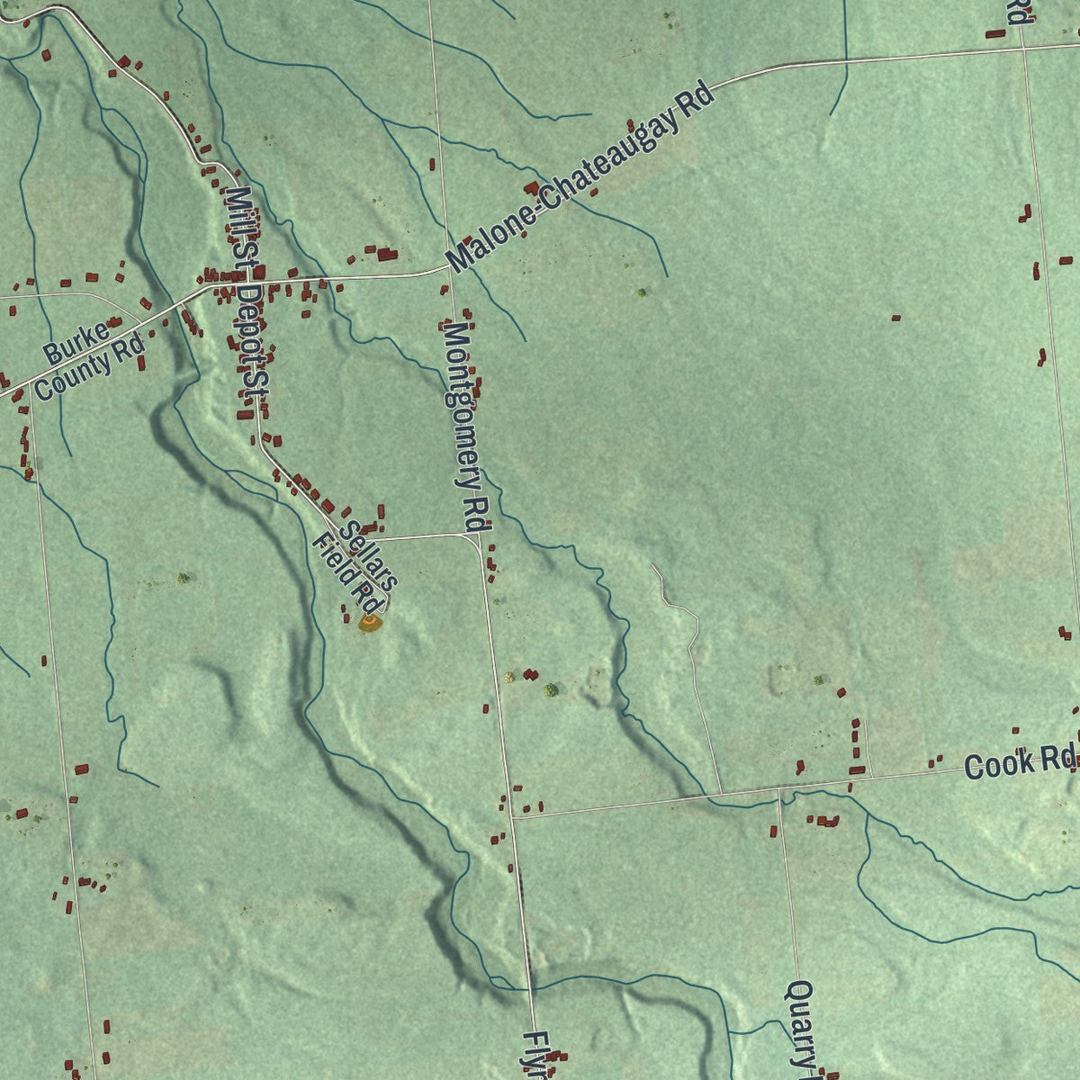 Close-up 2 of the Burke, New York map artwork