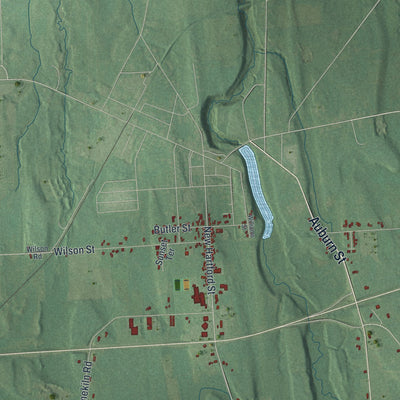 Close-up 1 of the Butler, New York map artwork