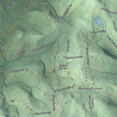 Close-up 1 of the Butternuts, New York map artwork