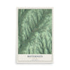 Butternuts, New York map print, 12" x 18" Archival Matte Print mockup