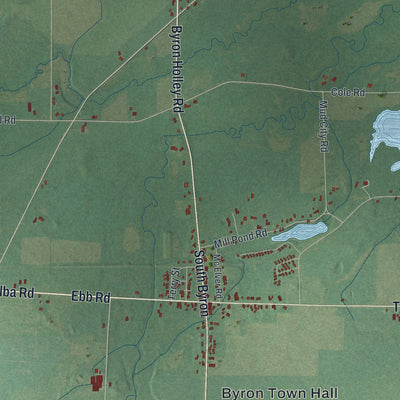 Close-up 1 of the Byron, New York map artwork