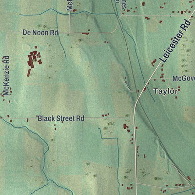 Close-up 2 of the Caledonia, New York map artwork