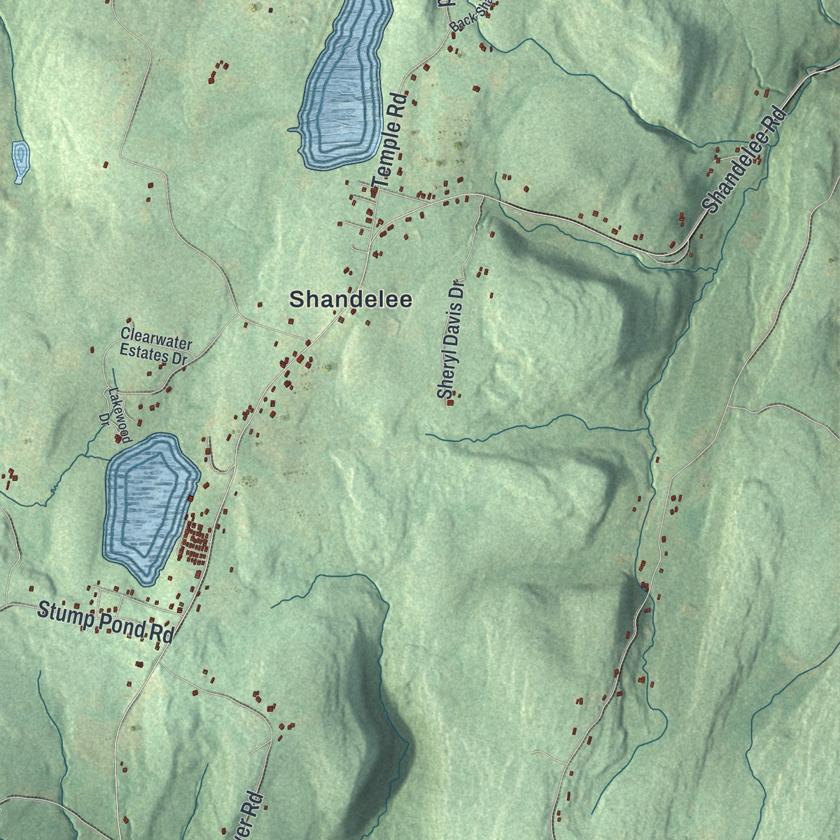 Close-up 1 of the Callicoon, New York map artwork