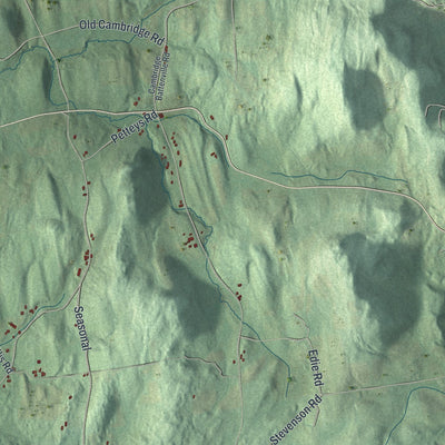 Close-up 2 of the Cambridge, New York map artwork