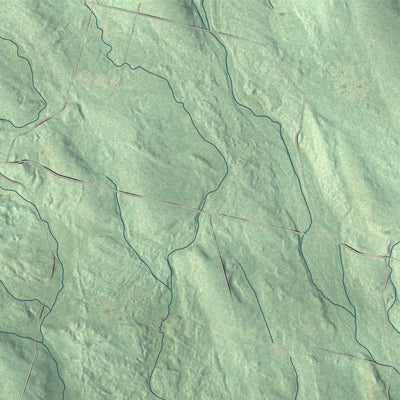 Close-up 1 of the Camden, New York map artwork