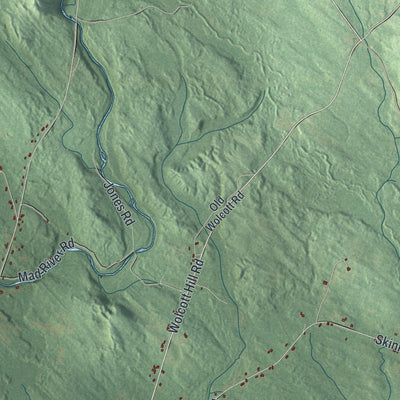Close-up 2 of the Camden, New York map artwork