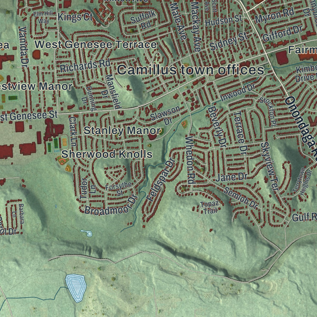 Close-up 1 of the Camillus, New York map artwork