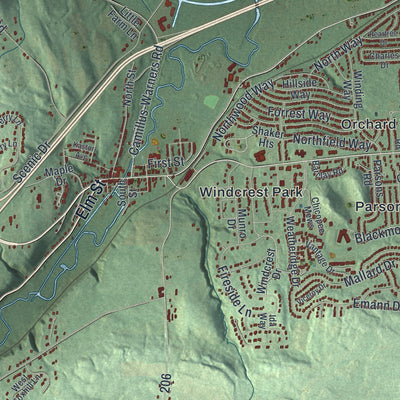 Close-up 2 of the Camillus, New York map artwork