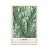 Campbell, New York map print, 12" x 18" Archival Matte Print mockup