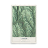 Candor, New York map print, 12" x 18" Archival Matte Print mockup