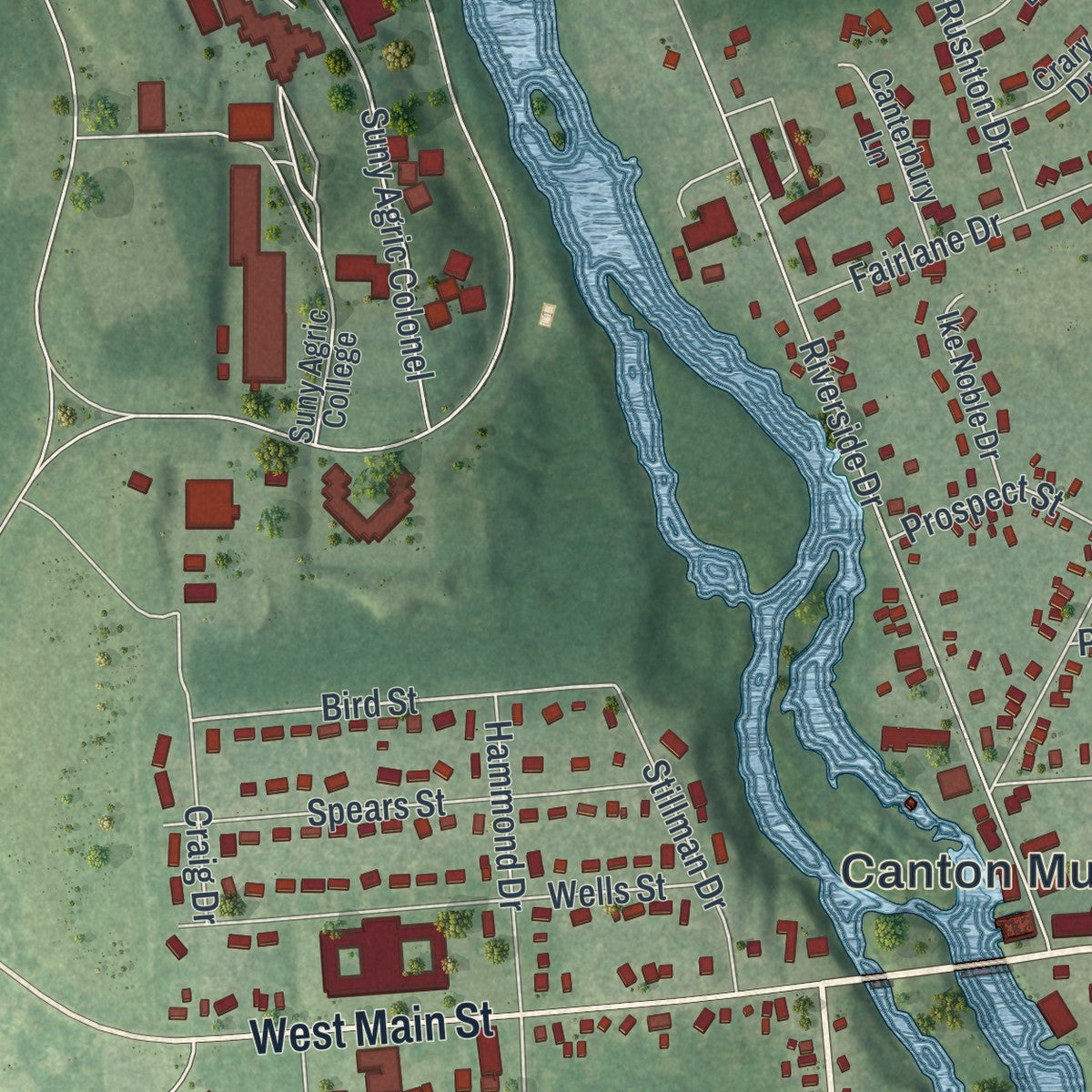 Close-up 2 of the Canton, New York map artwork