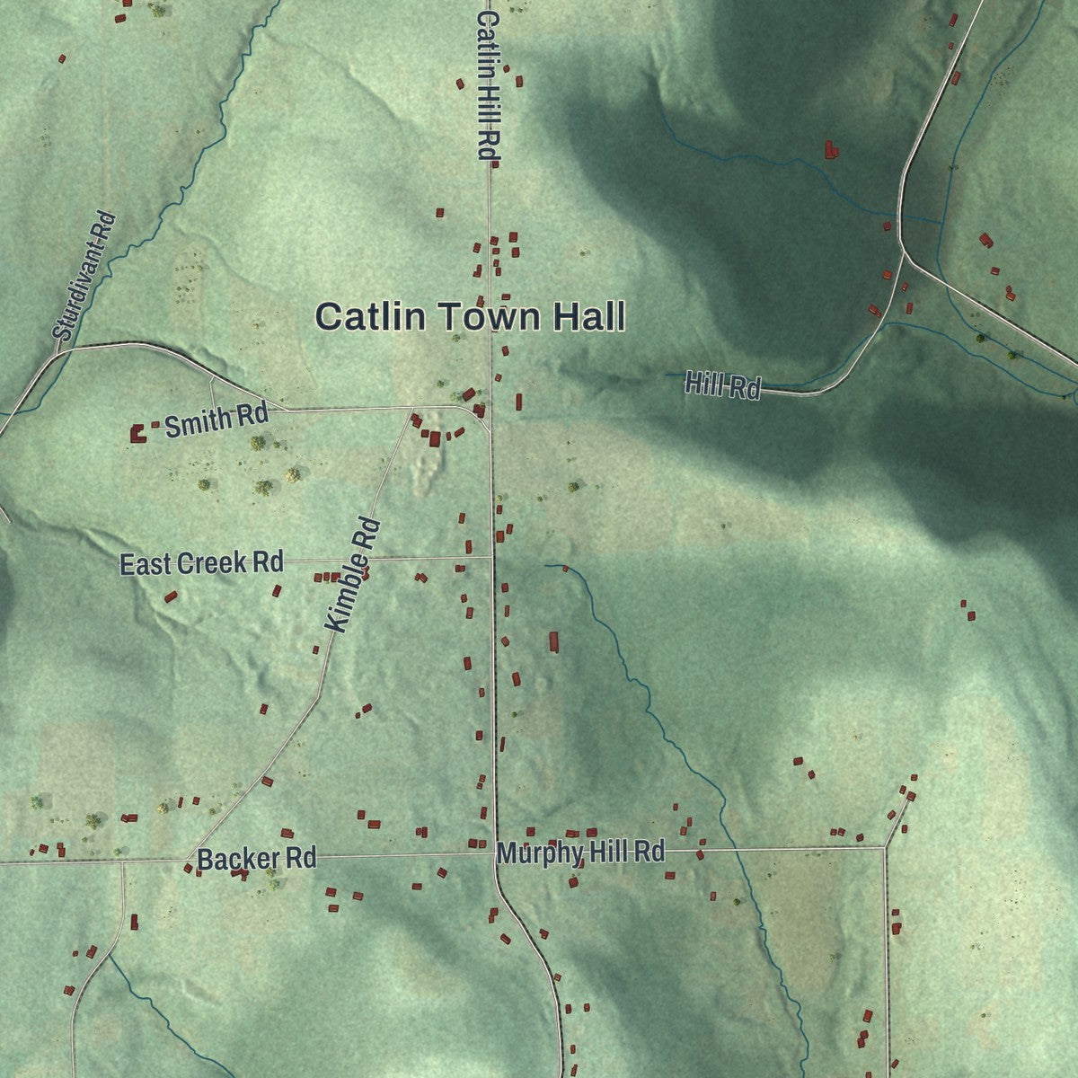 Close-up 1 of the Catlin, New York map artwork