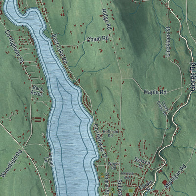 Close-up 1 of the Cazenovia, New York map artwork