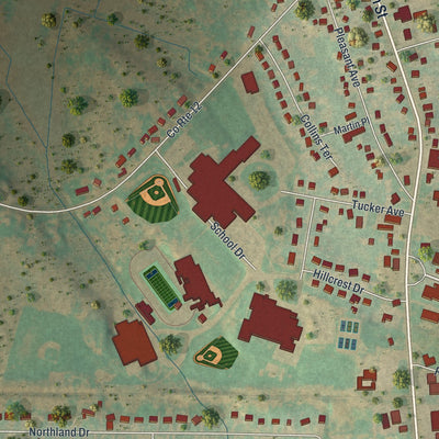 Close-up of the map of Central Square, New York print showing street and building detail