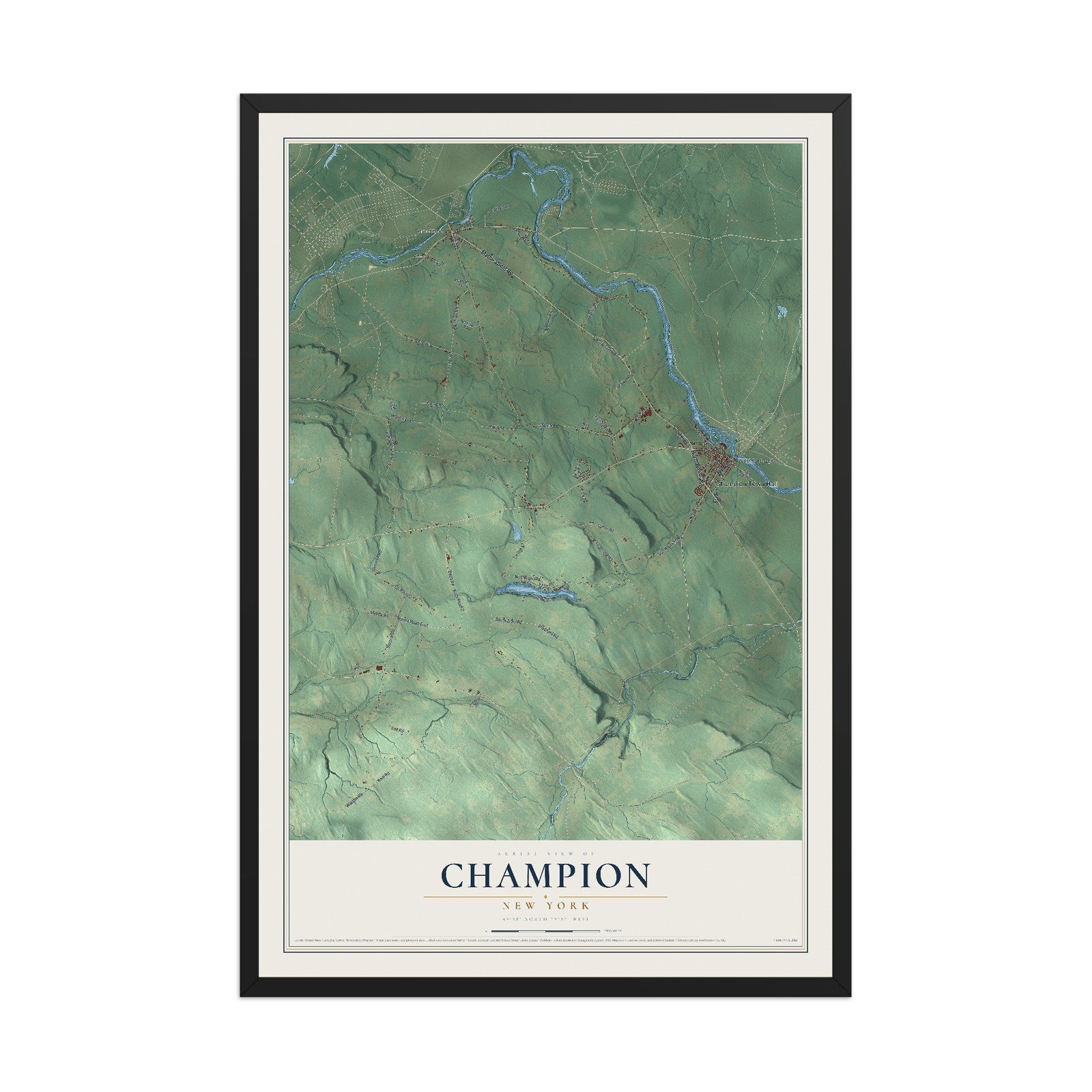 Champion, New York map print, 12" x 18" W/ Black Ayous Wood Frame mockup